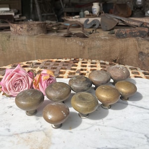 May include: A collection of nine round, weathered brass cabinet knobs with a smooth, domed surface and a metallic finish, arranged on a white marble surface next to two soft pink rose blossoms with green leaves and visible stems.
