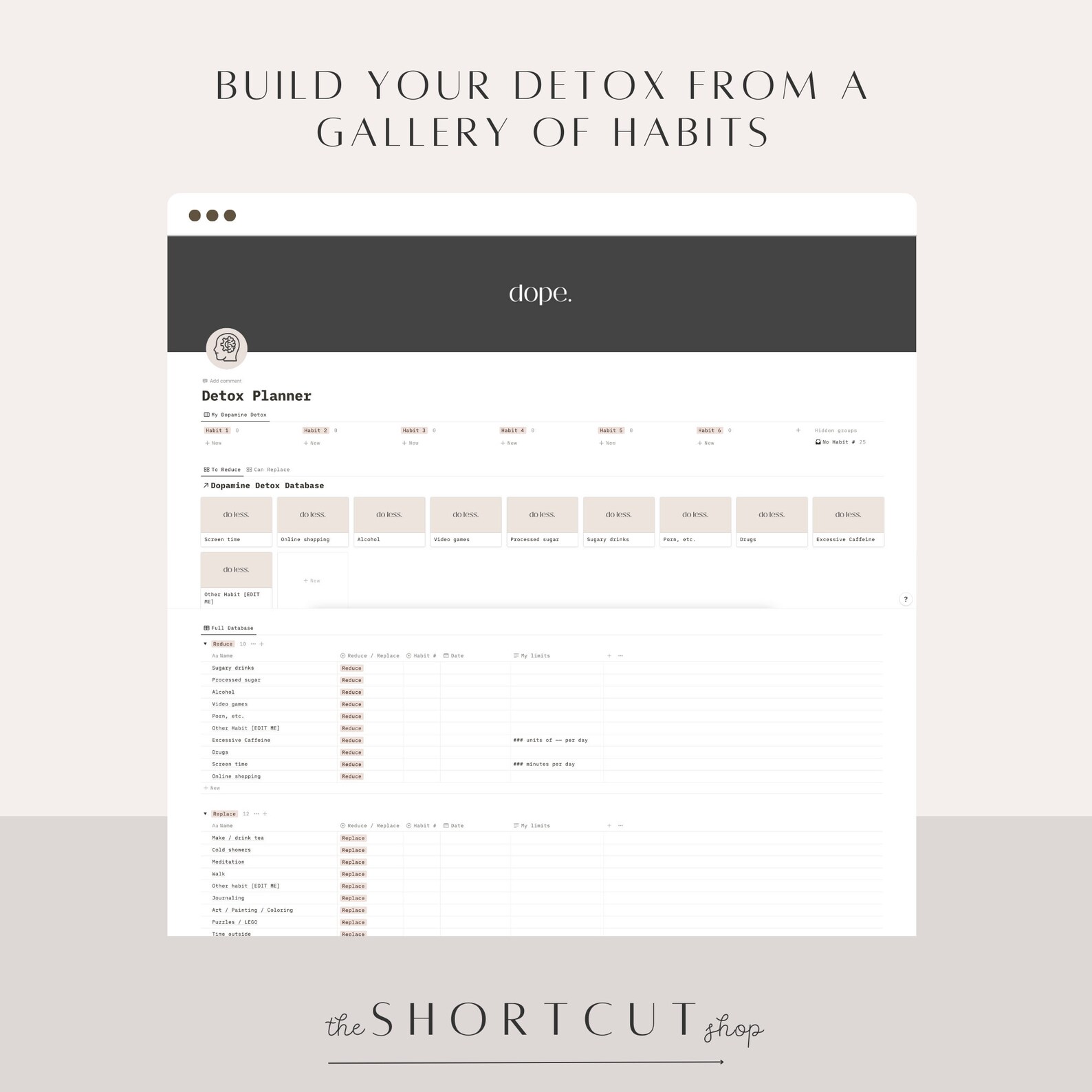 Dopamine Detox Notion Template Planner and Tracker Digital - Etsy