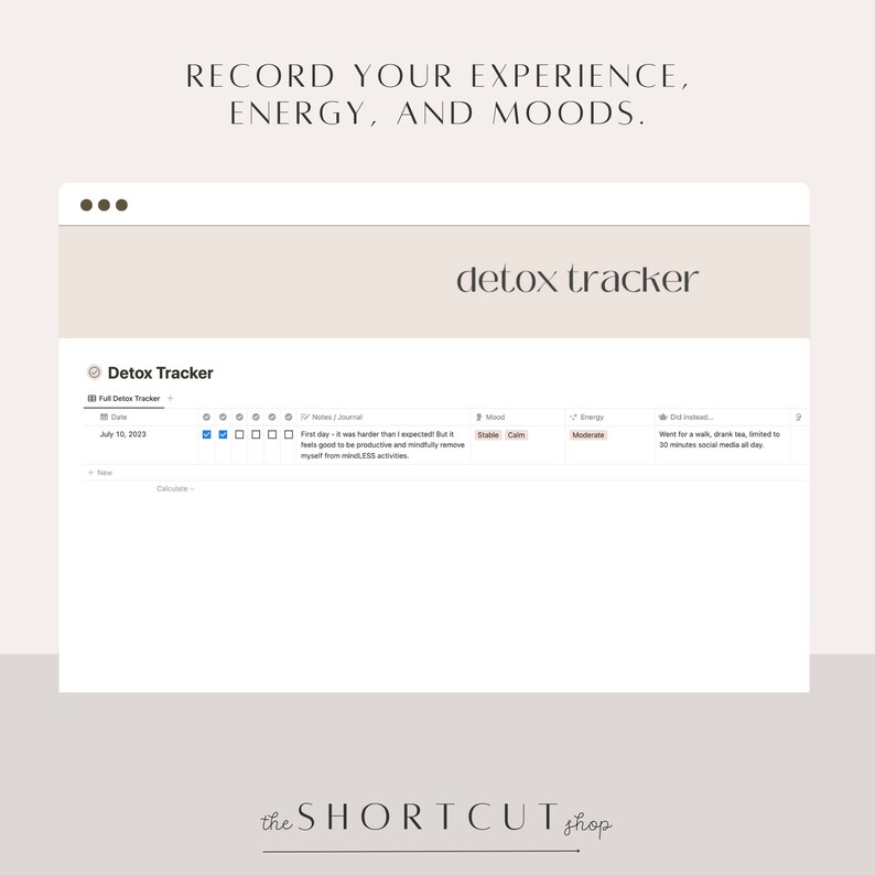 Dopamine Detox Notion Template Planner and Tracker Digital - Etsy