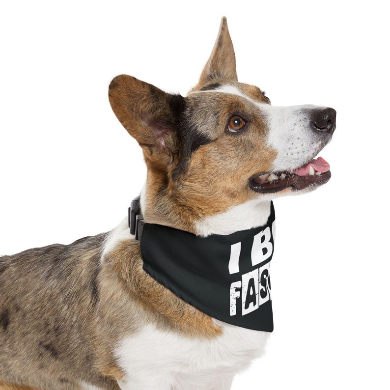 I Bite Faschisten Hundehalstuch Halsband Zubehör Anti Trump Demonstrieren Zeichen Ficken Trumpf 8647 Politische Punk Haustierkleidung Essen Die Reichen Keine Könige FDT Bild 6