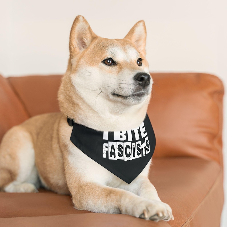 I Bite Faschisten Hundehalstuch Halsband Zubehör Anti Trump Demonstrieren Zeichen Ficken Trumpf 8647 Politische Punk Haustierkleidung Essen Die Reichen Keine Könige FDT Bild 3