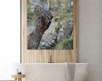 Twisting Trees Photography Print - Connected and Loving (Digital Download)