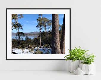 Winter Landscape Photography Print, Snowy Trees (Digital Download)