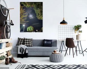 Moonlight Through Trees Art Print - Photography Wall Art (Digital Download)