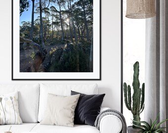 Through the Trees - Digital Print, Digital Wall Art, Printable Wall Art, Wall Art Prints, Photography Art Download, Digital Download