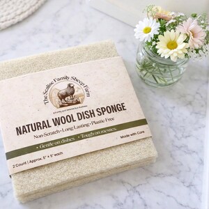 Wool Dish Sponge (Set of 2)