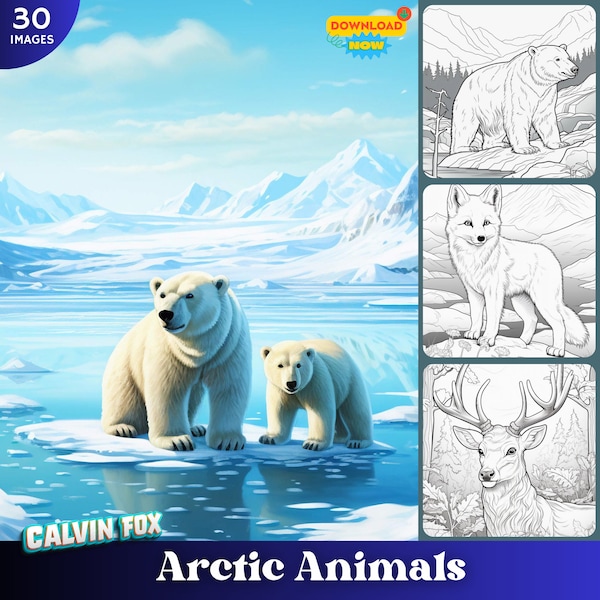Arctic Animals Coloring Pages  30 Images - 8.5" x 11"