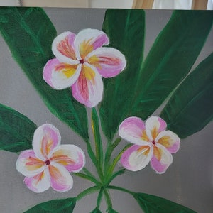 Hawaiian plumeria