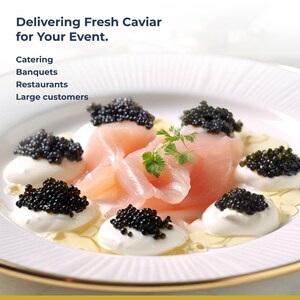 Puede incluir: Un plato blanco con borde dorado, que presenta una porci&oacute;n de caviar, salm&oacute;n y crema. El plato est&aacute; decorado con una ramita de perejil. El texto "Delivering Fresh Caviar for Your Event." se muestra encima del plato. El texto "Catering, Banquets, Restaurants, Large customers" se muestra debajo del plato.