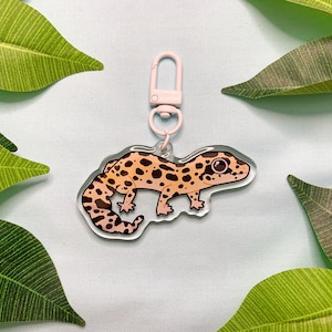 Gecko keyring shop