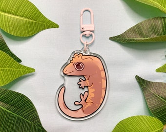 Gecko accessories best sale