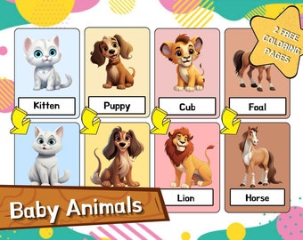 Montessori Baby Tier Lernkarten - 16 druckbare digitale Karten, Kinder Lernaktivität, bearbeitbar + 2 kostenlose Malvorlagen