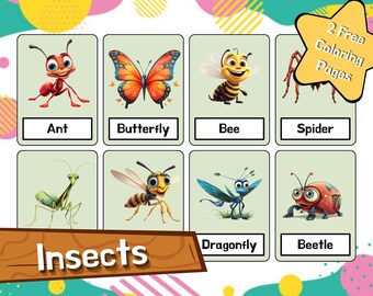 Montessori Insekten Lernkarten - 8 druckbare digitale Karten, Kinder-Lernaktivität, bearbeitbar + 2 kostenlose Malseiten