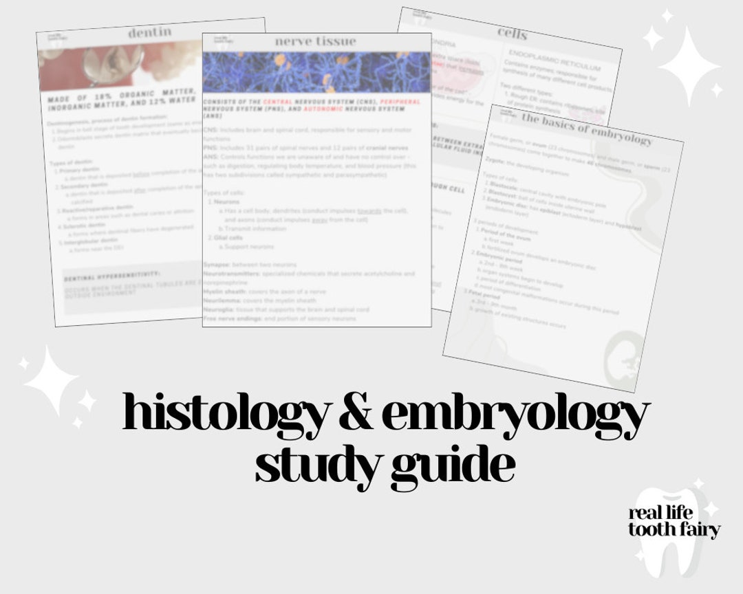 Histology and Embryology PDF Study Guide digital Download Dental Hygiene Notes, Dental Hygiene