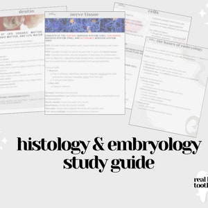 Histology and Embryology PDF Study Guide *Digital Download* | Dental Hygiene Notes, Dental Hygiene Study Guide, Dental Hygienist, RDH
