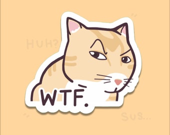 Suspicious Cute Cat Sticker ~ Cute & Funny Meme Stickers for Water-Bottles, Laptops, Gifts, etc. Offensive Gifts for Orange Cat Lovers