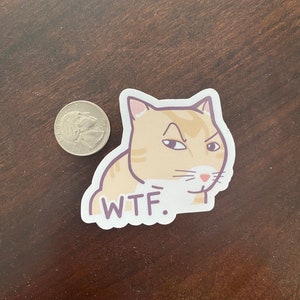 Suspicious Cute Cat Sticker Cute & Funny Meme Stickers for Water-Bottles, Laptops, Gifts, etc. Offensive Gifts for Orange Cat Lovers image 3