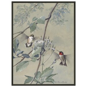 May include: A watercolour painting depicting two hummingbirds, one perched on a branch near a nest containing three eggs, and the other in flight. The background is a soft green with delicate branches and leaves.