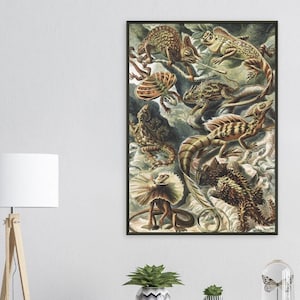 Lizards Reptiles Animal Life Vintage Art Reproduction Premium Matte Paper Black Metal Framed Poster Wall Art Decor VARIOUS SIZES