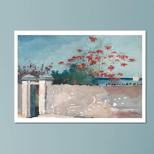 A Wall Nassau Maple Tree Caribbean Sea Winslow Homer Vintage Art Print Reproduction Premium Matte Paper Poster VARIOUS SIZES AVAILABLE
