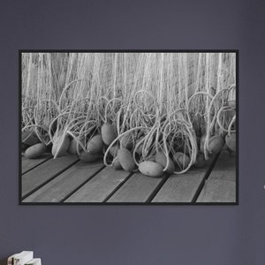 Schwimmt Lachs Fischer Netze Vintage Schwarz und Weiß Foto Premium Matte Papier Schwarz Kiefer Holzrahmen Poster Wand-Dekor VERSCHIEDENE GRÖSSEN