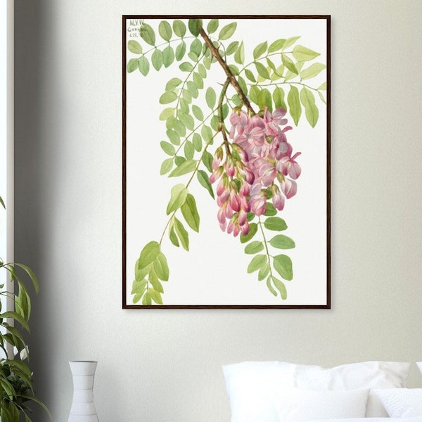 NEUE MEXIKANISCHE verschluss- rosa Blumen-Baumzweig Weinlese-botanische Kunst Premium-Mattpapier-hölzertes gerahmtes Plakat Umweltfreundliche Wandkunst