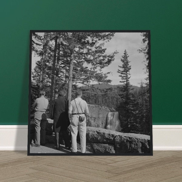 Willamette National Forest Oregon Vintage Photograph Photo Reproduction Art Premium Matte Paper Black Pine Wooden Square Framed Poster