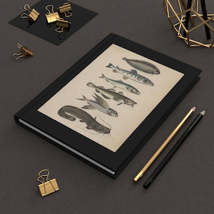 Antique Fish Illustration - Ruled Line Notebook - Fishing Diary - Hardcover Journal - Fish Lover Gift