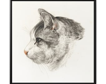 Sketch of a Cat Head Gray and White Tabby Kitty Illustration Vintage 19th Century Art Print Matte Canvas Square Black Frame VARIOUS SIZES