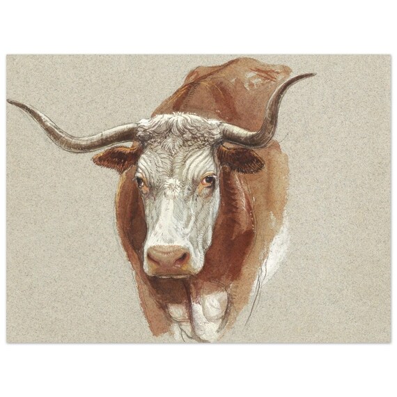 牛の頭部 アクリル画 M.Funayama 作: - 119cm x 約92cm 絵画