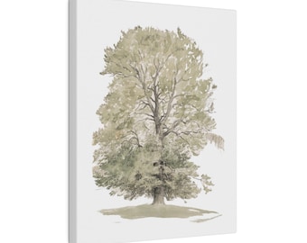 May include: A watercolor painting of a large, leafy tree with a light green and brown color scheme. The tree is depicted against a white background.