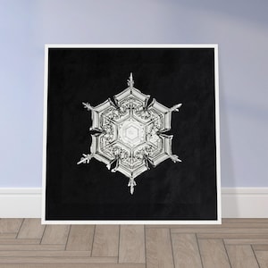 Snowflake Vintage 19th Century Photograph Photo Reproduction Art Premium Matte Paper White Pine Wooden Square Framed Poster