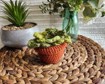 Crochet monstera leaf coaster set