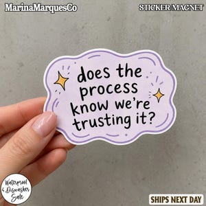 Trust the Process Sticker/Magnet, Does the Process Know We’re Trusting It Funny Sticker, Sarcastic Motivational Decal, Anxiety Humor Gift