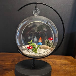 Glass globe elegant terrarium