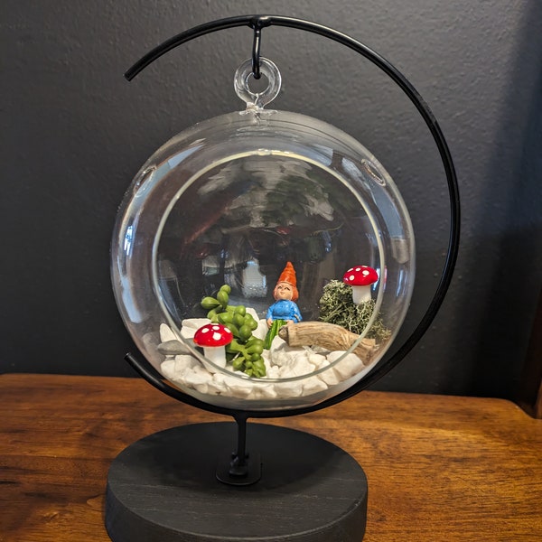 Globe Terrarium Etsy