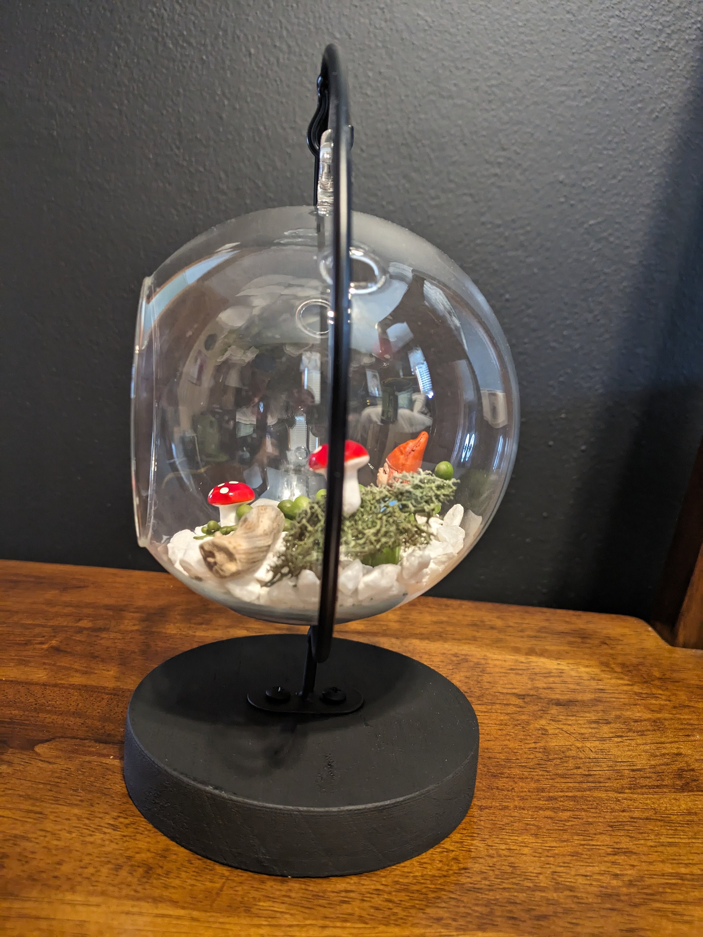 Glass Globe Elegant Terrarium Etsy