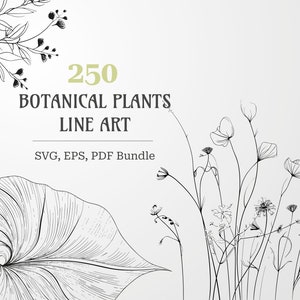 Botanical Floral SVG Bundle | Flower Clipart for Commercial Use