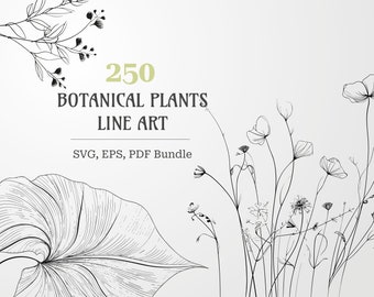 Botanical Floral SVG Bundle | Flower Clipart for Commercial Use
