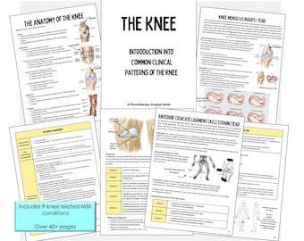 Studentengids Fysiotherapie: Veel voorkomende klinische patronen van de knie (MSK)