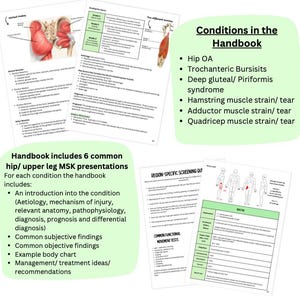 May include: A green and white handout with the title "Conditions in the Handbook" and a list of common hip and upper leg musculoskeletal conditions. The handout includes a section on region-specific screening questions and common functional movement tests.