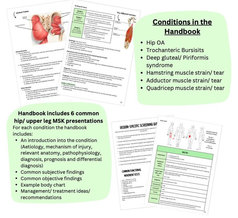 May include: A green and white handout with the title "Conditions in the Handbook" and a list of common hip and upper leg musculoskeletal conditions. The handout includes a section on region-specific screening questions and common functional movement tests.