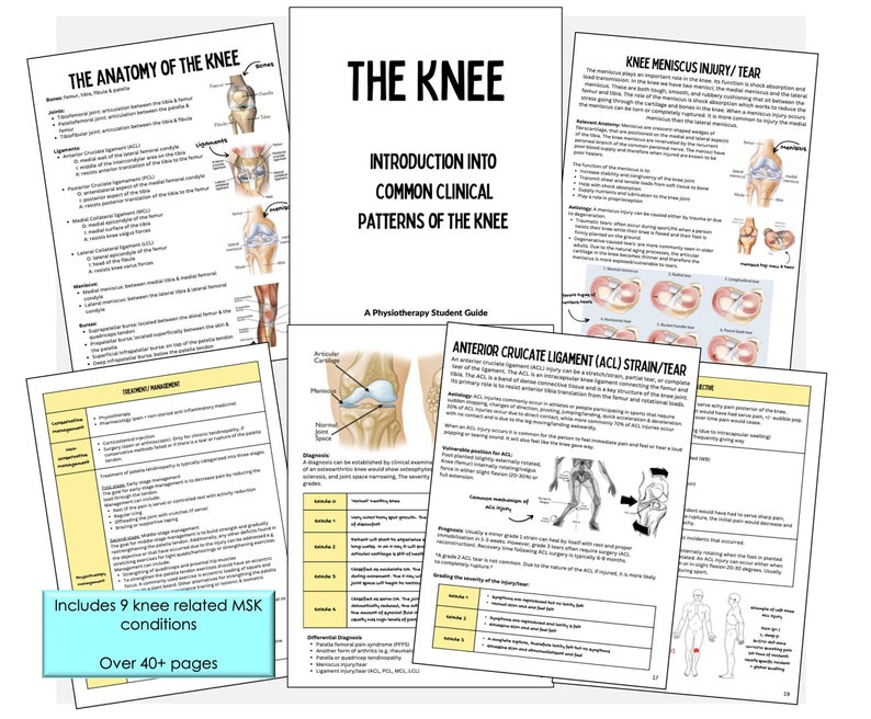 K&ouml;nnte beinhalten: Eine Sammlung von gedruckten Seiten, die die Knieanatomie, Verletzungen und Behandlung detailliert beschreiben. Die Seiten enthalten Diagramme, Text und Titel wie "Die Anatomie des Knies" und "Meniskusverletzung/Riss". Der Leitfaden ist f&uuml;r Physiotherapiestudenten.
