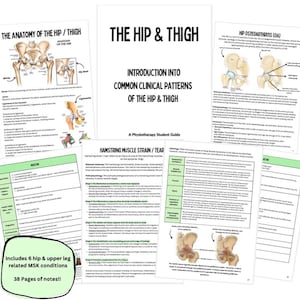 Puede incluir: Una guía colorida sobre patrones clínicos comunes de la cadera y el muslo, incluyendo anatomía, distensión del músculo isquiotibial y osteoartritis de cadera. La guía incluye ilustraciones y texto, y se titula "La cadera y el muslo: Una guía para estudiantes de fisioterapia".