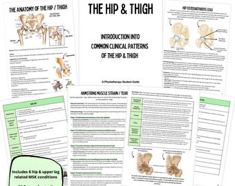 Könnte beinhalten: Ein farbenfroher Leitfaden zu häufigen klinischen Mustern von Hüfte und Oberschenkel, einschließlich Anatomie, Hamstring-Muskelzerrung und Hüftgelenksarthrose. Der Leitfaden enthält Illustrationen und Text und trägt den Titel "Hüfte & Oberschenkel: Ein Leitfaden für Physiotherapie-Studenten".