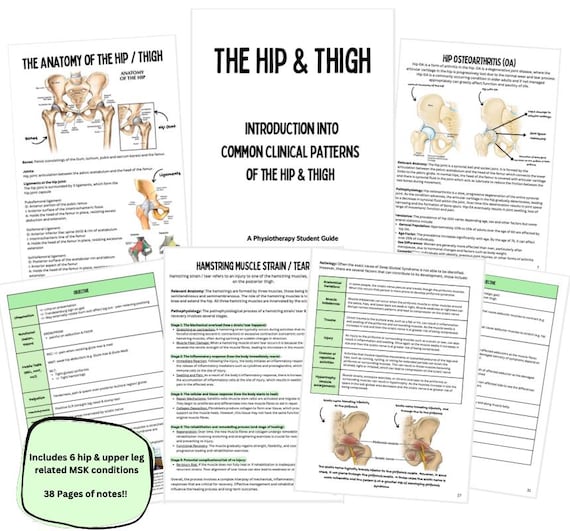 Physiotherapy Student Guide: Common Clinical Patterns of the Hip & Thigh (MSK)