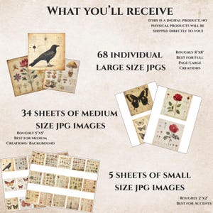 Puede incluir: Descarga digital de im&aacute;genes JPG de estilo vintage. Incluye 68 im&aacute;genes grandes (aproximadamente 20 cm x 20 cm), 34 im&aacute;genes medianas (aproximadamente 13 cm x 13 cm) y 5 im&aacute;genes peque&ntilde;as (aproximadamente 5 cm x 5 cm). Con ilustraciones bot&aacute;nicas y animales.