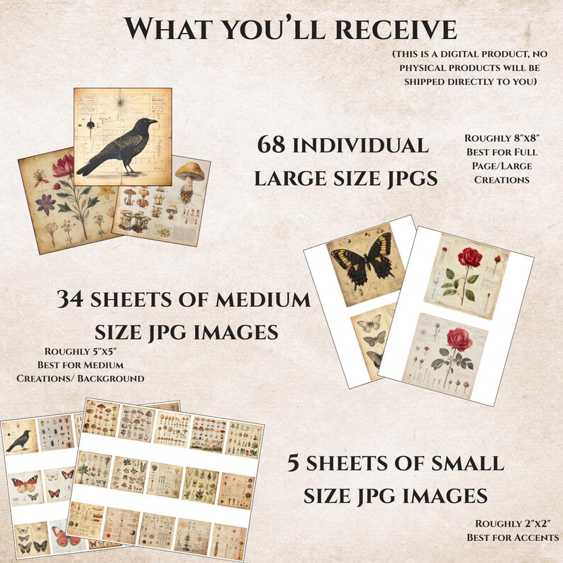 Puede incluir: Descarga digital de im&aacute;genes JPG de estilo vintage. Incluye 68 im&aacute;genes grandes (aproximadamente 20 cm x 20 cm), 34 im&aacute;genes medianas (aproximadamente 13 cm x 13 cm) y 5 im&aacute;genes peque&ntilde;as (aproximadamente 5 cm x 5 cm). Con ilustraciones bot&aacute;nicas y animales.