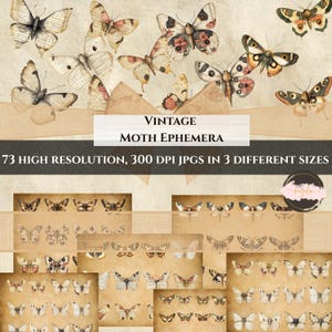 Pack de cliparts papillons vintage - 73 images haute résolution pour le scrapbooking et la journalisation indésirable, art numérique de style éphémère