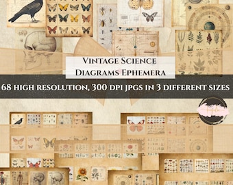 Vintage Science Diagram Printable Bundle - Birds, Mushrooms, Crows, Flowers | Printable Clip Art for Ephemera Junk Journaling & Scrapbooking